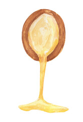 Brown argan tree nut with oil. Watercolor illustration isolated on white background.