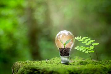 Model of renewable energy production with light bulbs with environmental protection concept. Sustainable Renewable Energy Sources Renewable energy is important to the world.