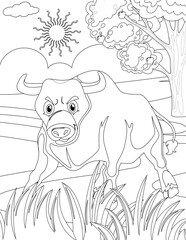 Animal Coloring page I Buffalo coloring page for kids
