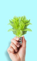 Eco-friendly concept, lightbulb with green fresh leaves