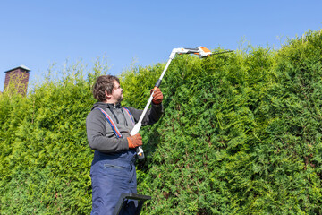 Male gardener using a long reach pole hedge trimmer to cut the top of a tall hedge. Professional...