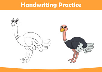Practice handwriting. Tracing ostrich lines and coloring for children