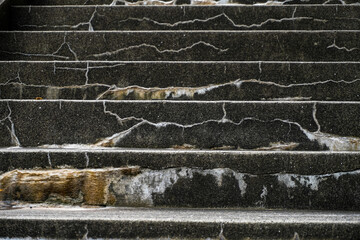 Around Harajuku Tokyo Japan I can see the cool things
Flowers stonewall wood trees make my day completely 