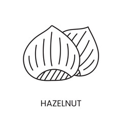 Hazelnut a simple and stylish line icon inspired by the shape of a nut