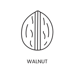 Walnut Icon invites you to embrace the timeless charm with its exquisite line vector representation.