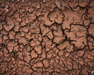 Roter trockener Boden