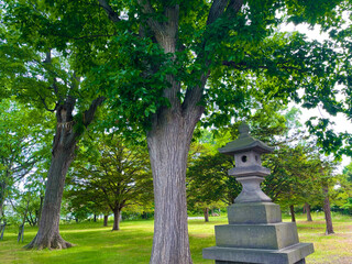 日本文化　神社　自然