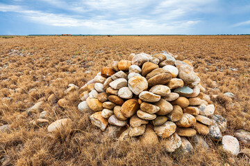 Reserve of the Coussouls of Crau, plain of the Crau, dry Crau, France
