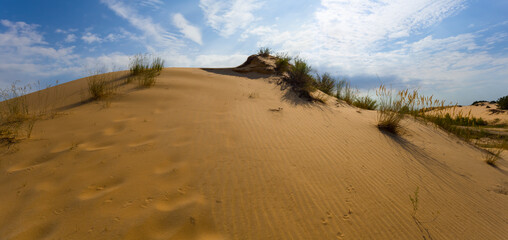 summer sandy desert dune under blue cloudy sky