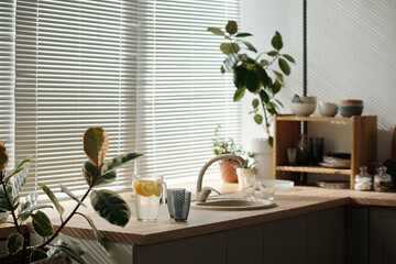 Part of kitchen counter with sink, homemade lemonade, two glasses and green domestic plants against large window with venetian blinds