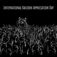 International Raccoon Appreciation Day hand drawing vector isolated on black background. © tya studio