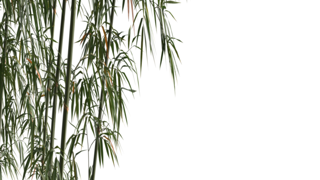 bamboo and bamboo leaves on side of frame