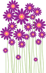 Flowers. Flowers Illustration. Flowers Nature. Flowers Isolated on White Background. Vector illustration. Elements for design. Flowers Spring.