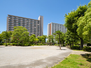 Fototapeta premium 青空の東雲公園 緑が多くて気持ちが良い