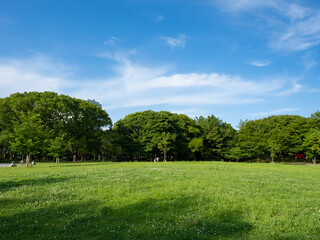 緑あふれる辰巳の森緑道公園　清々しい！