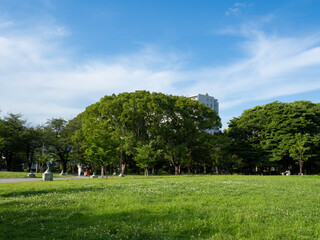 緑あふれる辰巳の森緑道公園　清々しい！