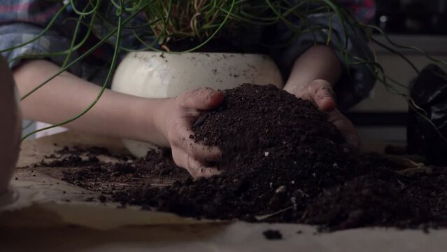 The girl transplants a flower into a new pot