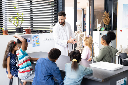 Diverse male teacher and elementary schoolchildren studying skeleton in biology class - Powered by Adobe