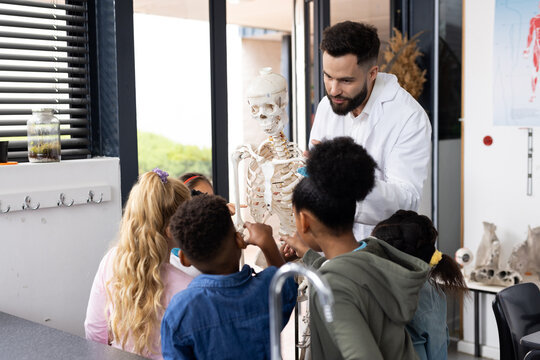Diverse male teacher and elementary schoolchildren studying skeleton in biology class