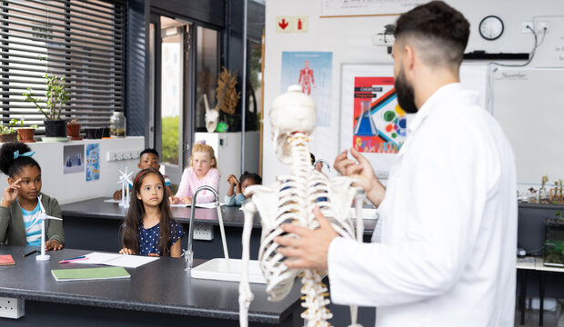 Diverse male teacher and elementary schoolchildren studying skeleton in biology class