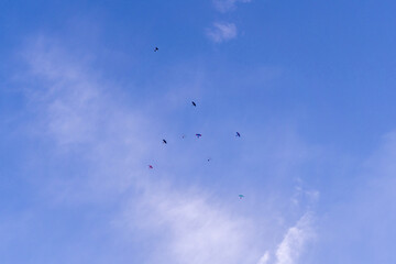 Colorful kites flying in the sky. a group of kites flying against blue sky