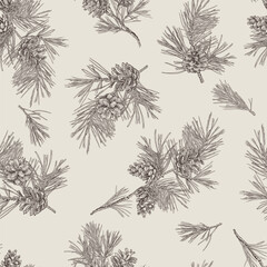 .Hand drawn pine branches with cones seamless pattern. Vector vintage design. Monochrome image.