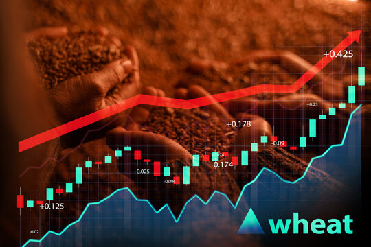 Shot of farmers women holding wheat grains on their hands and graphs with arrow.