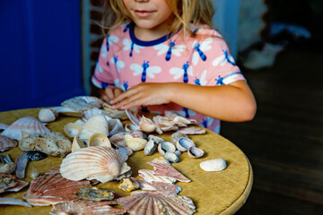 Little preschool girl with variation of different shells and clams at home. Happy child with...