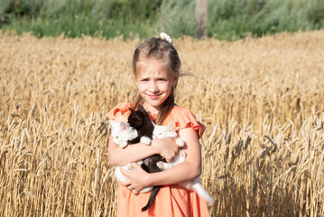 Portrait of smiling and pretty kid girl holding three kittens and stands in wheat field, summer photo © Vita