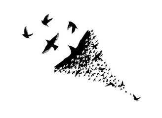 A flock of flying birds. Abstraction one bird and many small ones. Vector illustration
