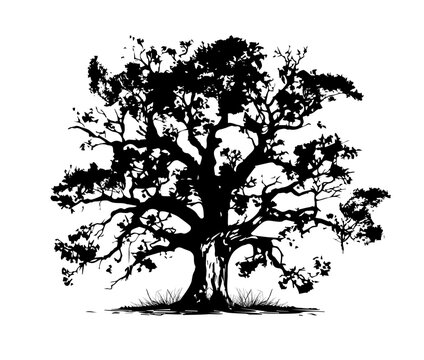 Black silhouette of oak logo. Vector vintage illustration