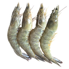 Raw shrimp for 4 shrimp.