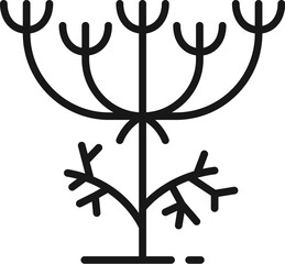 Obraz premium Cumin branch and caraway seeds isolated outline culinary herb. Vector food seasoning, organic plant used as cooking condiment and in traditional medicine