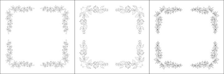 Set of three vector frames with flowers and fruits. Elegant black and white monochrome ornamental corners. Vector frame for all sizes and formats. Isolated vector illustration.