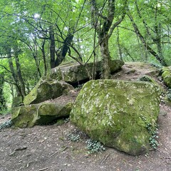 Rock fragments covered with moss, possibly destroyed dolmen