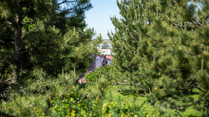 statue in between the two trees