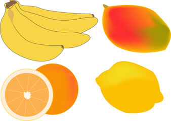 Vector fresh fruits set - bananas, lemon, mango, cut orange. Suitable for culinary theme, food theme, healthy food theme