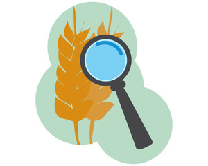 magnifying glass for product inspection, Agribusiness industry concept, illustrated in flat style using a vector.