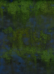 old mossy concrete wall bacground