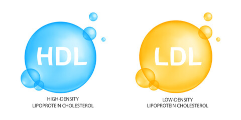 Cholesterol HDL and LDL types. Good and bad cholesterin. High and low density, lipoprotein icons isolated on white background. Medical infographic. Vector illustration