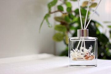 Clear glass bottle diffuser with sea shells and cotton fragrance concept