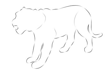 simple vector hand draw sketch tige or big deer, isolated on white