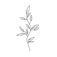 Leaves Branch Hand Draw Linear Drawing Black Sketch Isolated on White Background. Flower with Leaves Abstract One Line Minimalist Drawing. Vector EPS 10.