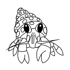 Hermit crab lined design