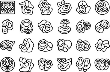 Oysters icons set outline vector. Seafood shell. Nature food