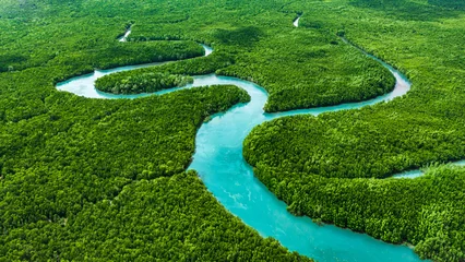 Fotobehang Bosrivier Aerial view of mangrove forest ecosystem at Phang Nga, Thailand