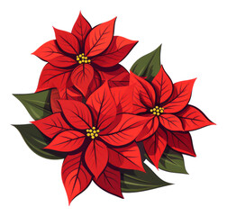 Poinsettia flowers isolated for Christmas or New Year greeting card design. illustration