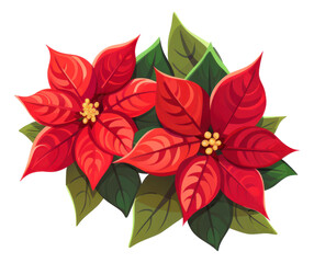 Poinsettia flowers isolated for Christmas or New Year greeting card design. illustration