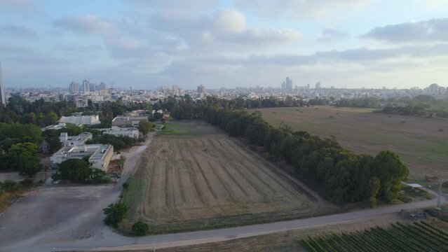 The wheat fields of the Mikveh Israel Agricultural School near Holon