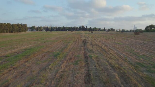 The wheat fields of the Mikveh Israel Agricultural School near Holon - low altitude aerial view